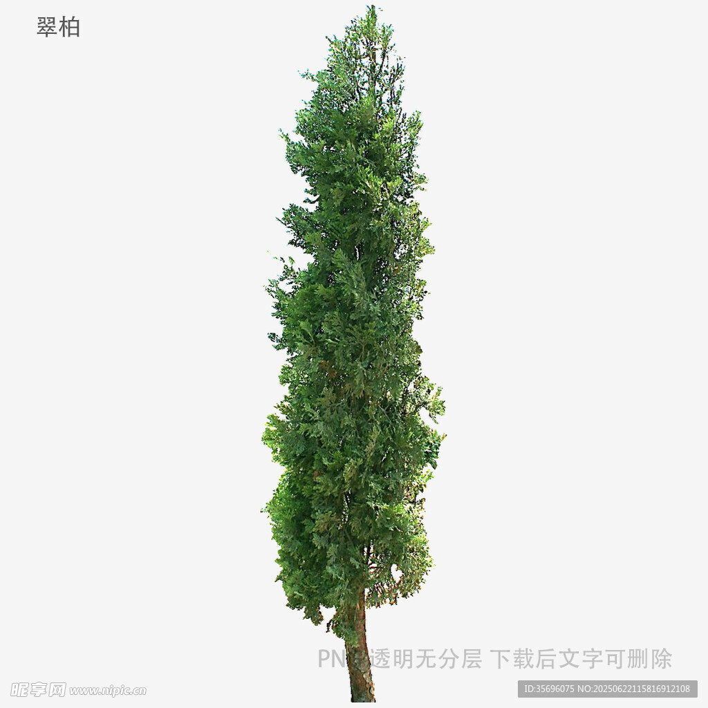 高大挺拔的綠色仿真樹木