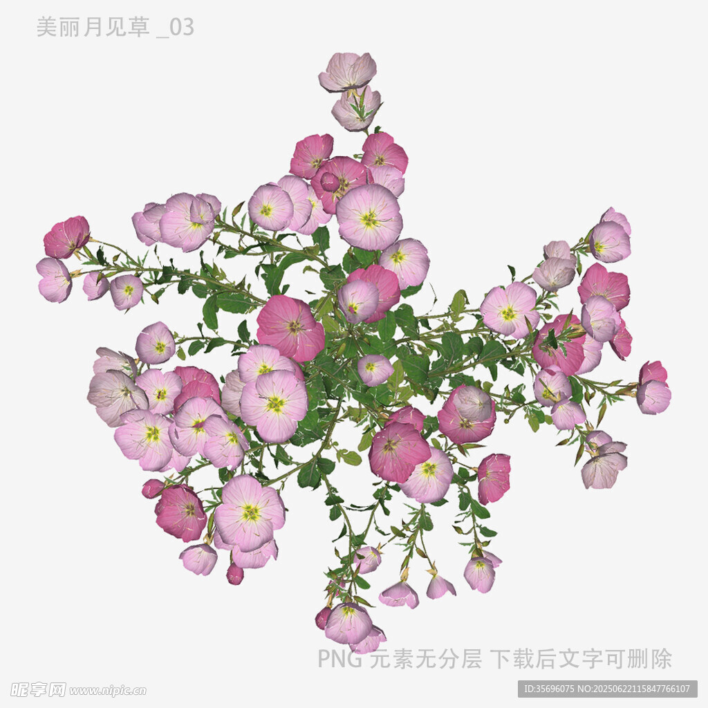 粉色花卉插畫圖案設計