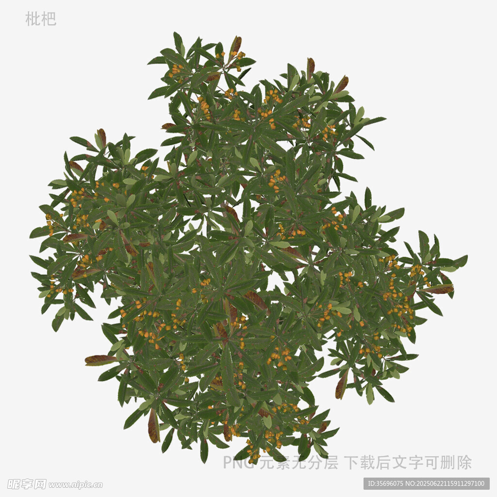 綠色灌木植物3D模型