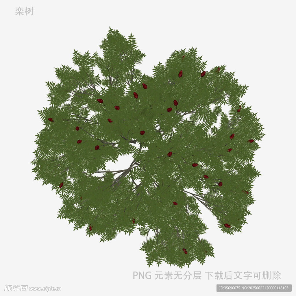 綠色繁茂樹葉3D模型