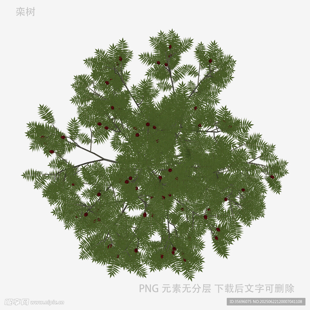 綠色繁茂樹冠3D模型