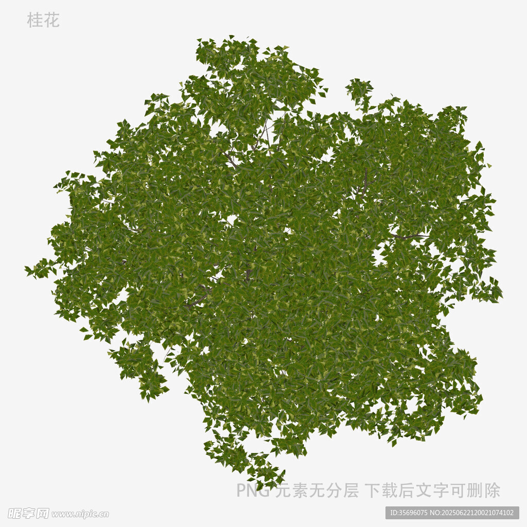茂盛綠植頂視圖