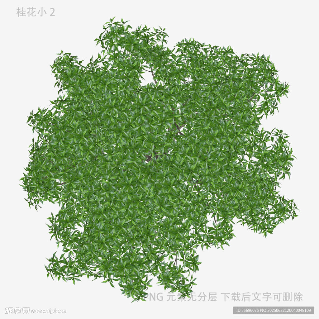 3D綠色樹冠模型