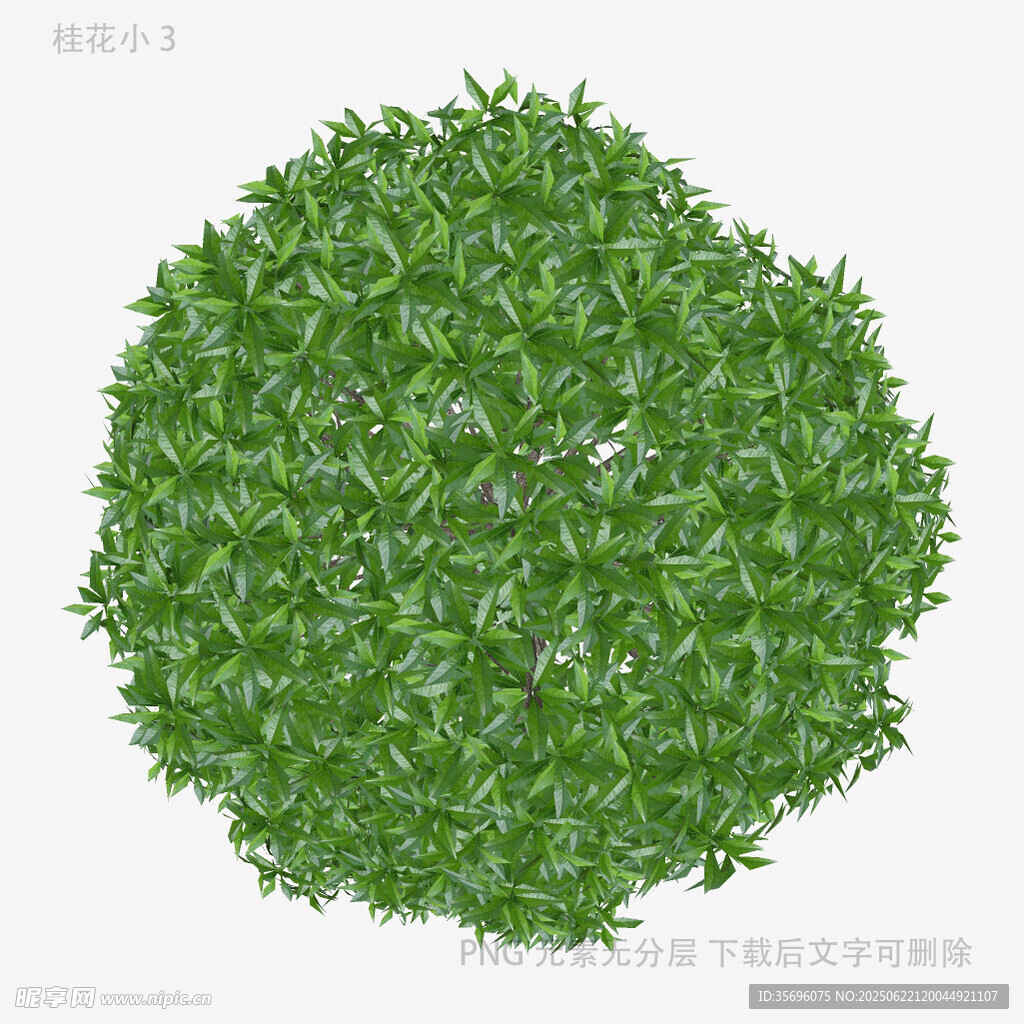 圓形綠植灌木模型