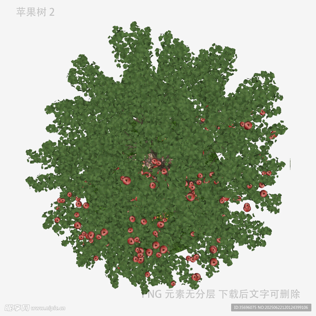 俯視視角的果樹頂視圖