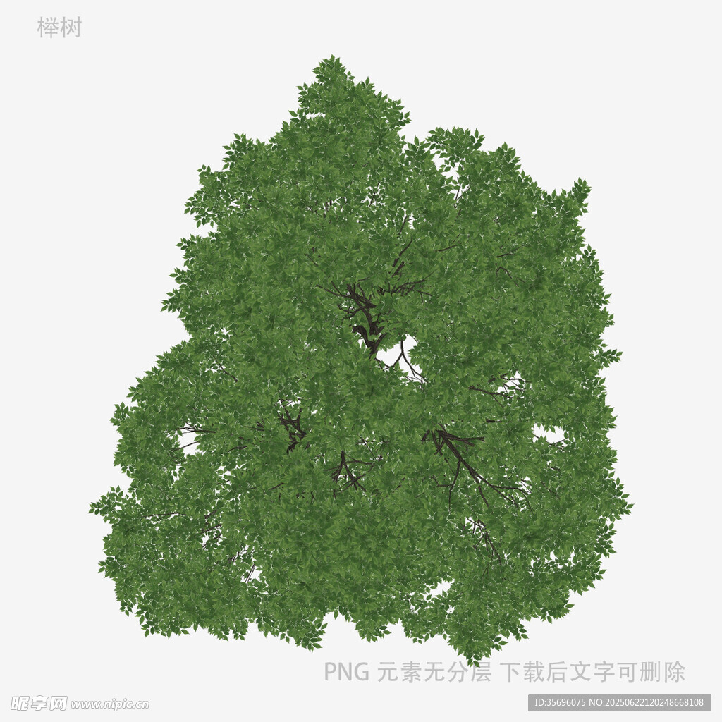 綠色茂盛樹木3D模型