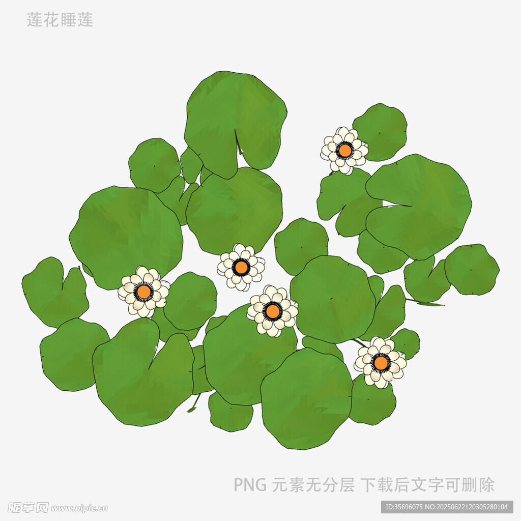 清新荷葉插畫