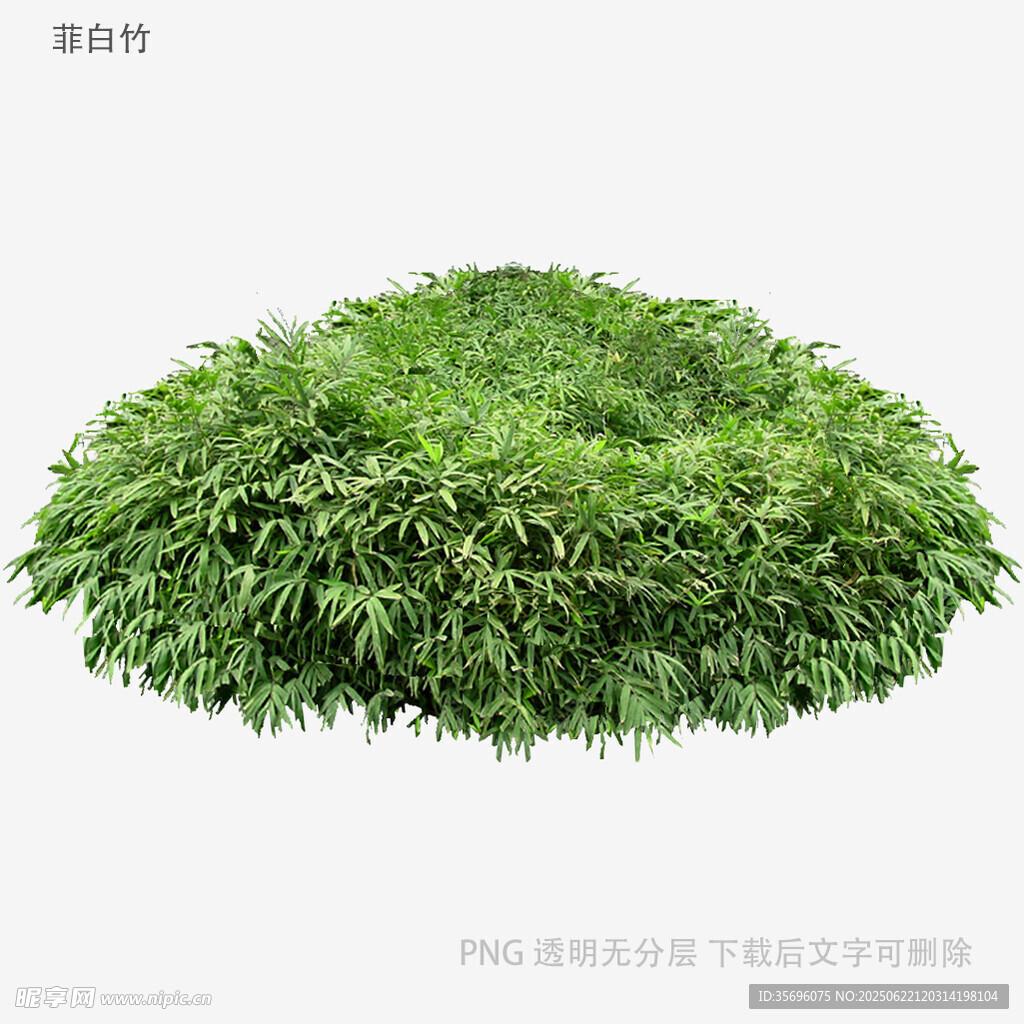 圓形綠植叢