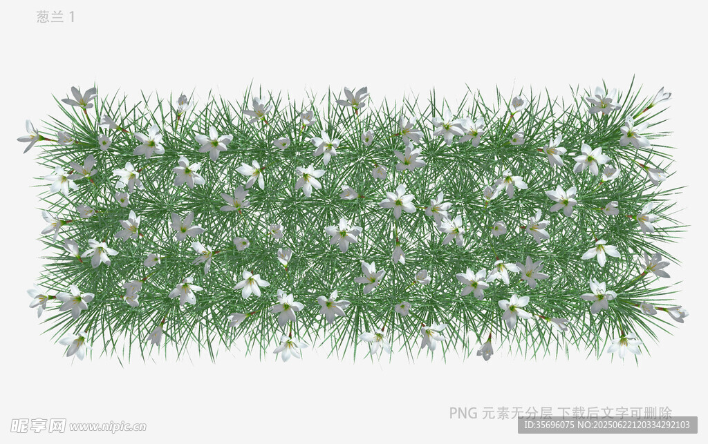 綠色草墻配白色小花