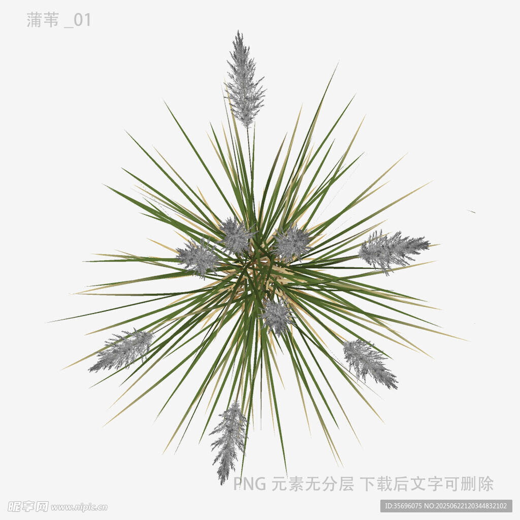 銀穗綠植3D模型展示
