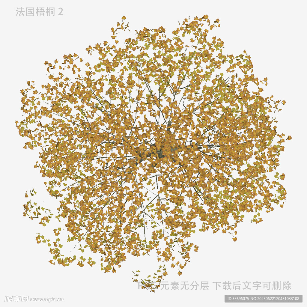金色樹葉抽象圖案