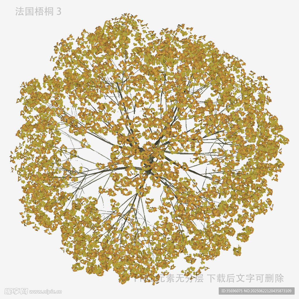 金色圓形樹木圖案設(shè)計(jì)