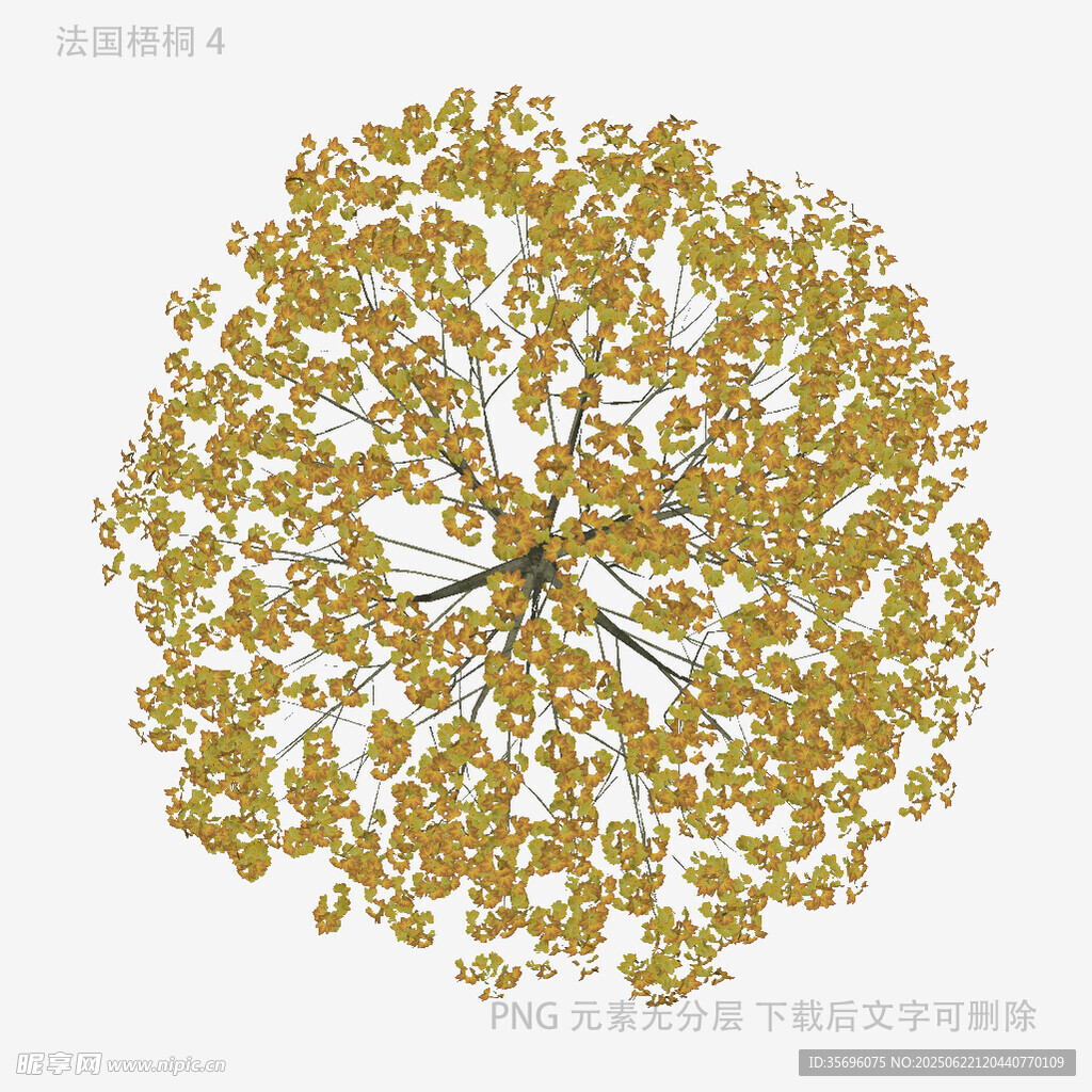 金色圓形樹狀圖案設(shè)計