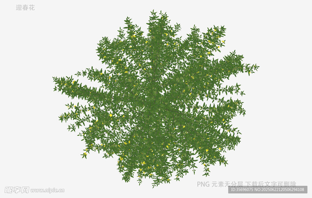 俯視視角綠色樹冠模型