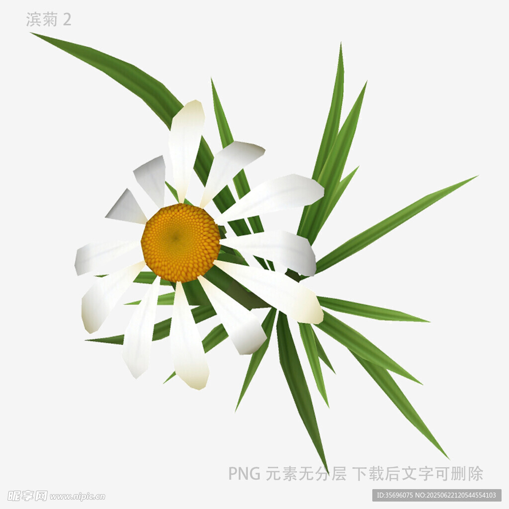 立體紙藝小雛菊與綠葉