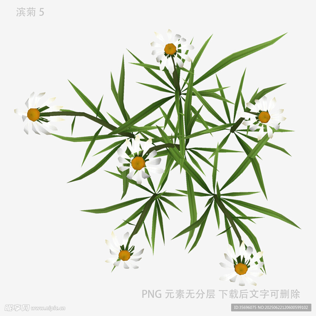 手繪黃花綠葉植物插畫