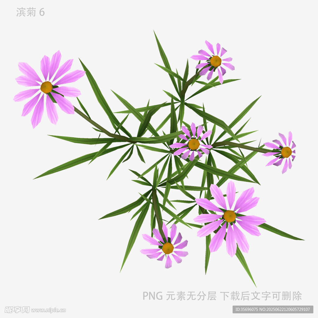 粉色小花植物插畫