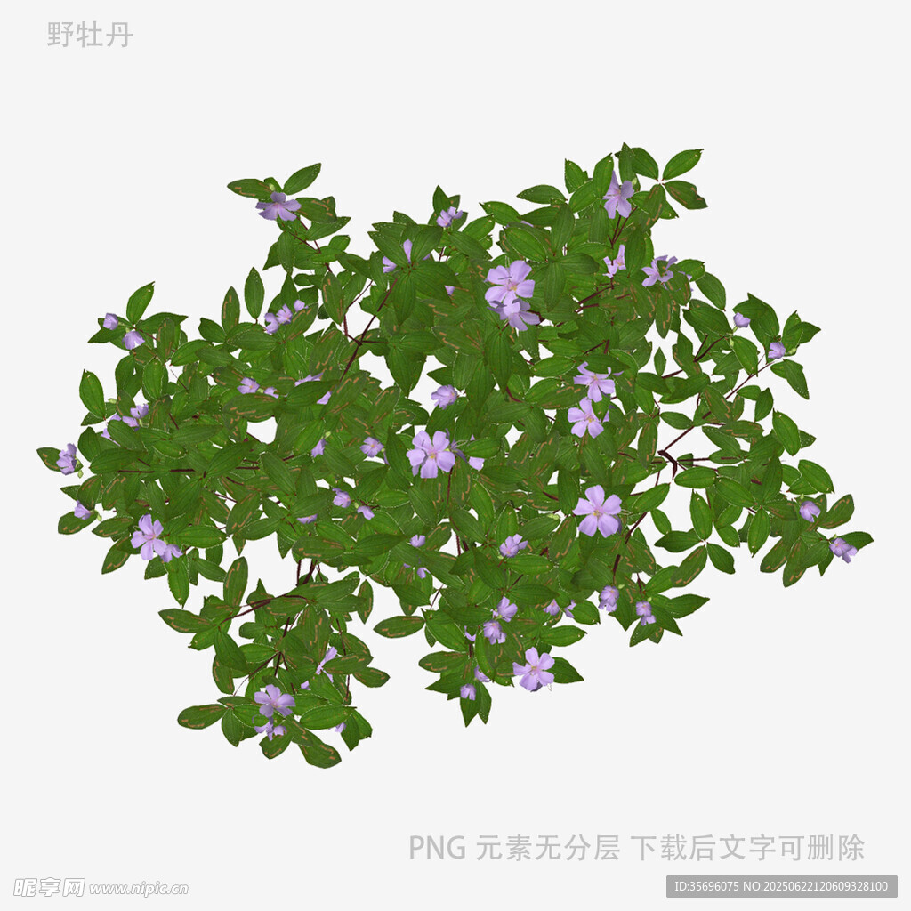 綠葉紫花植物3D模型
