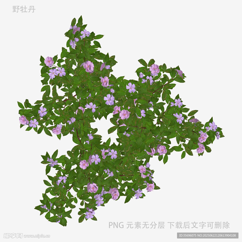 紫色小花綠植3D模型