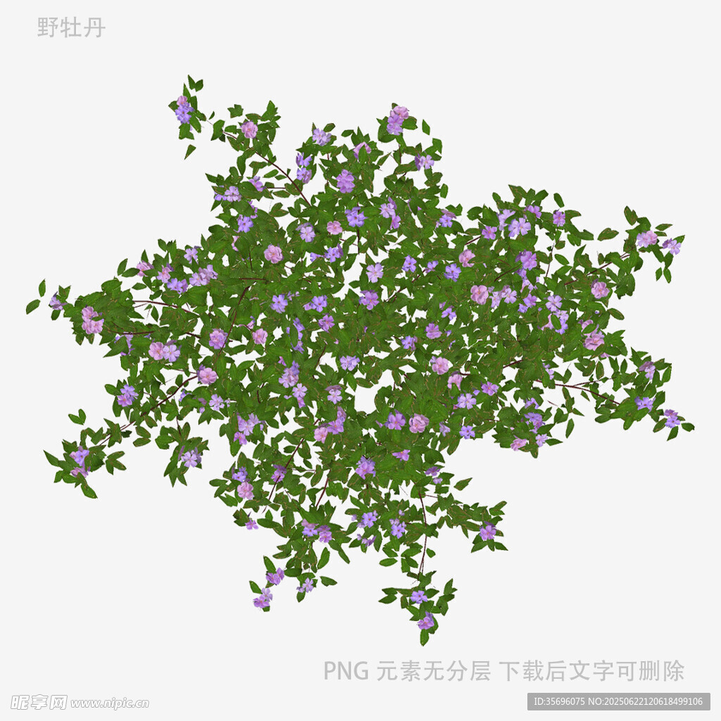 紫色小花綠植圖案素材