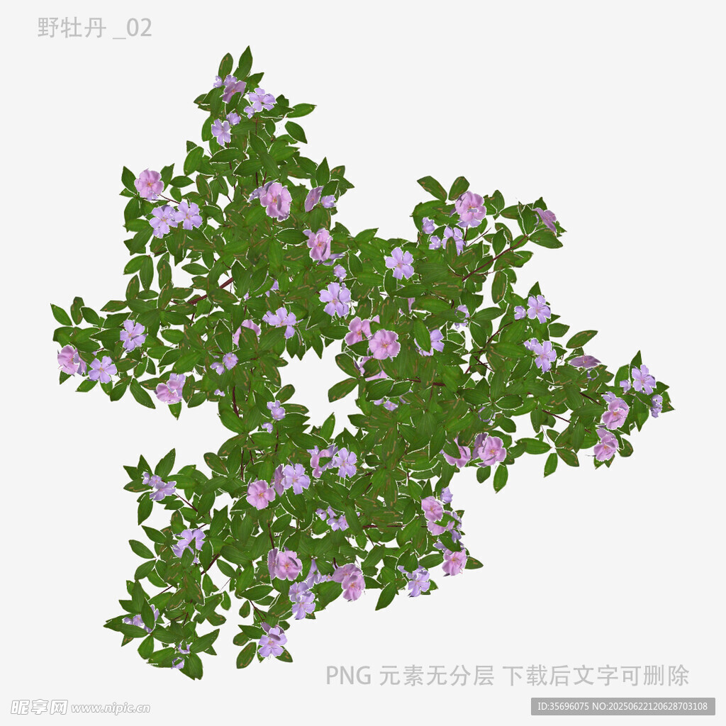 紫色小花綠植3D模型