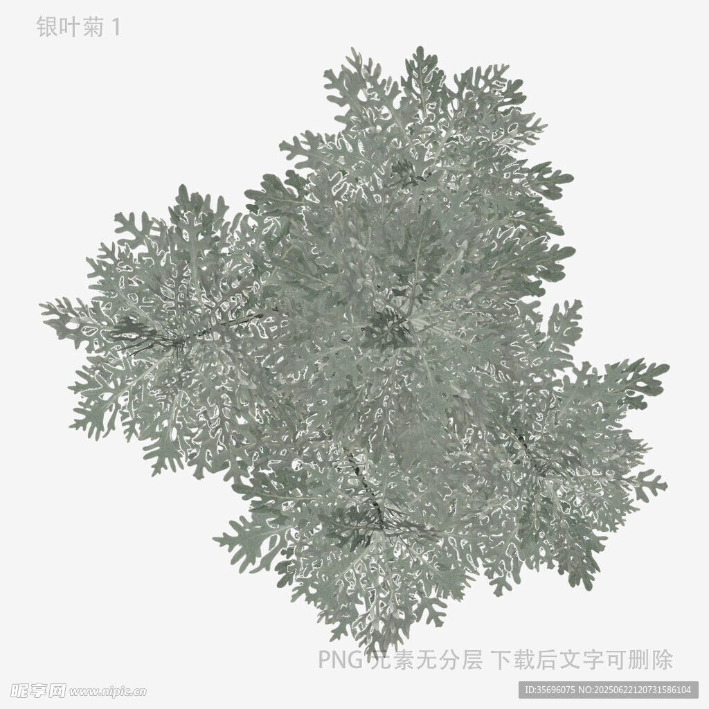 俯視視角樹木3D模型圖