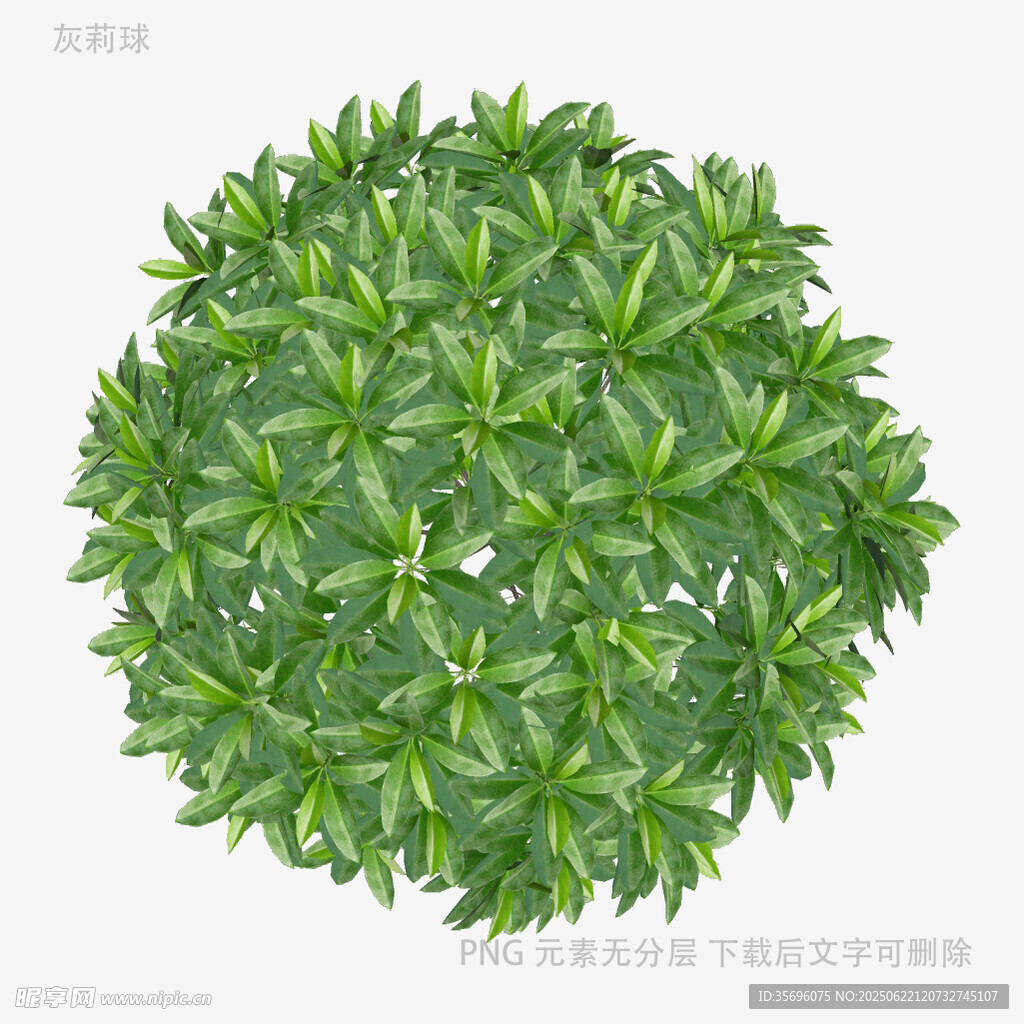 圓形綠植盆栽