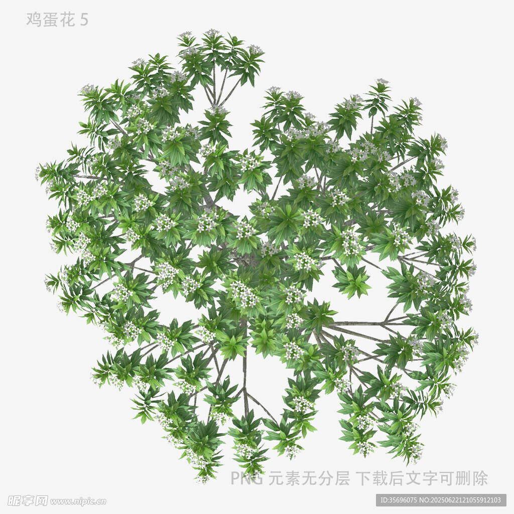 綠色繁茂樹木3D模型