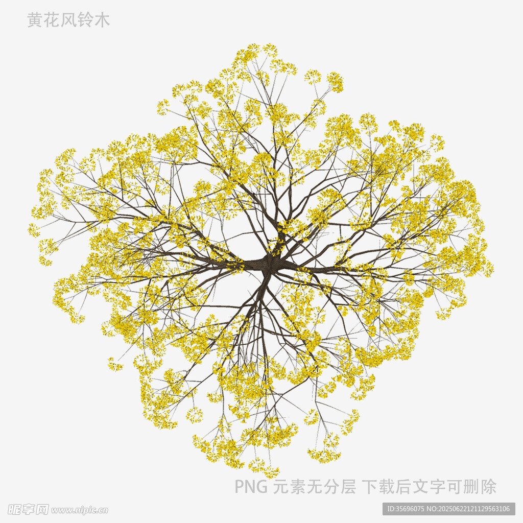 黃色花朵樹(shù)枝藝術(shù)構(gòu)圖