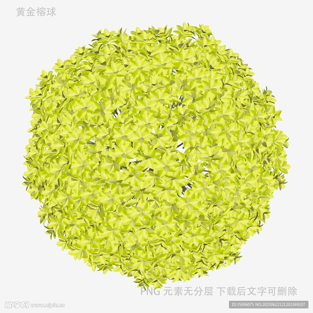 翠綠繁茂的圓形綠植
