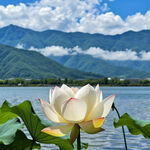 AI生畫