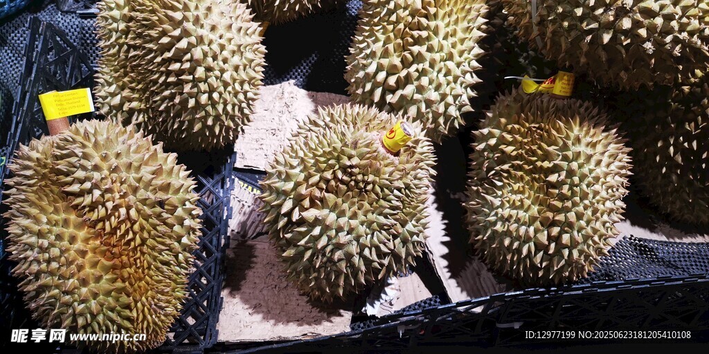 新鮮榴蓮待售