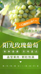 清新夏季水果陽光玫瑰葡萄海報(bào)