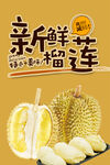 榴蓮