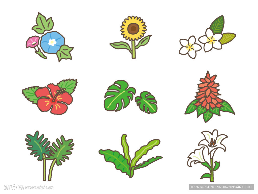 多彩植物插畫集合