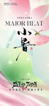 夏日小暑清新風(fēng)插畫(huà)海報(bào)