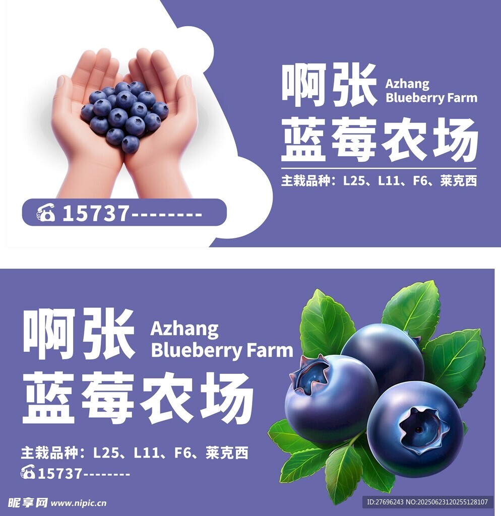 藍莓農場海報