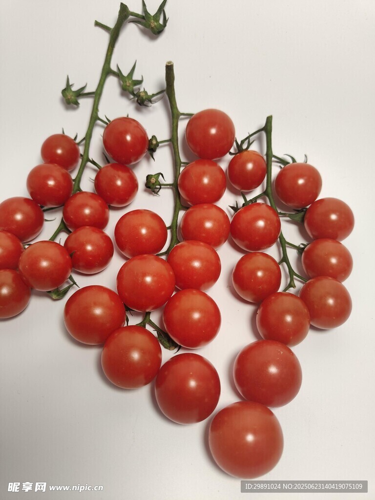 小番茄