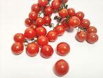 小番茄