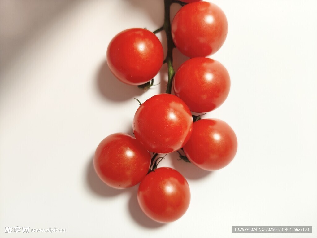 小番茄