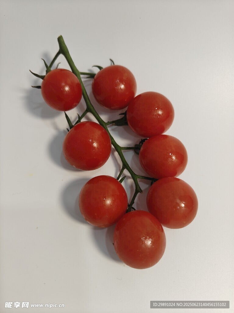 小番茄