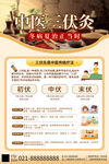 中國風中醫(yī)冬病夏治三伏貼海報