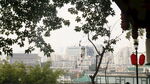城市林間景致