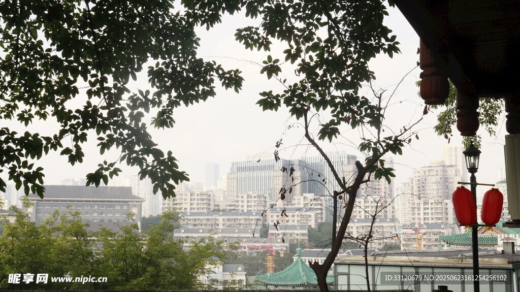 城市林間景致