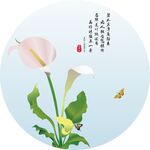 馬蹄蓮矢量線稿藝術圖簡約掛畫