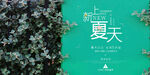 水上樂園圖片