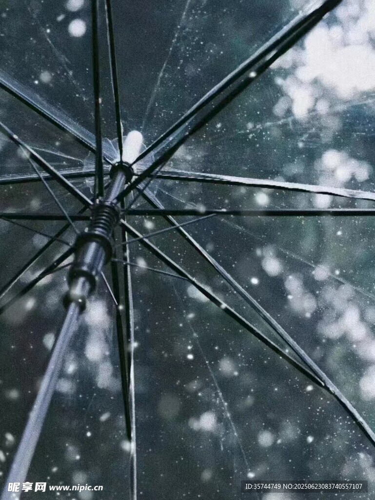 雨中透明傘下的朦朧景致