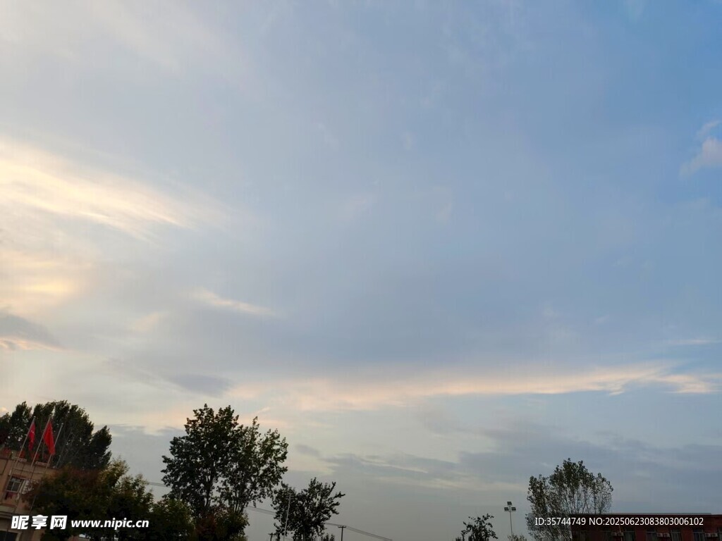 黃昏時分的天空與樹木