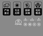農(nóng)產(chǎn)品供應(yīng)鏈優(yōu)勢展示食品小圖標(biāo)