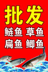 魚類批發
